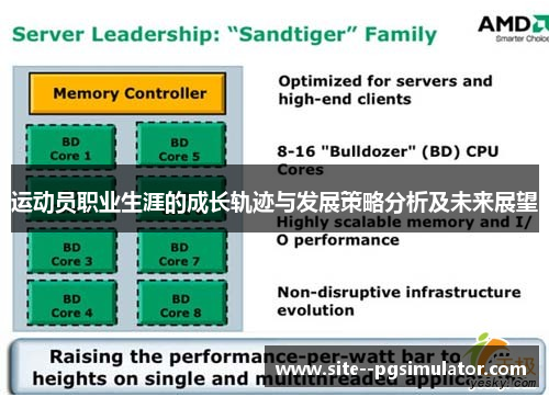 运动员职业生涯的成长轨迹与发展策略分析及未来展望 运动员职业生涯的成长轨迹与发展策略分析及未来展望
