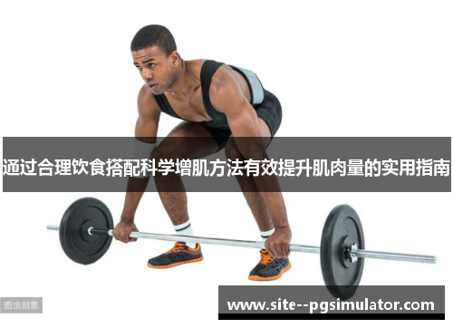 通过合理饮食搭配科学增肌方法有效提升肌肉量的实用指南 通过合理饮食搭配科学增肌方法有效提升肌肉量的实用指南