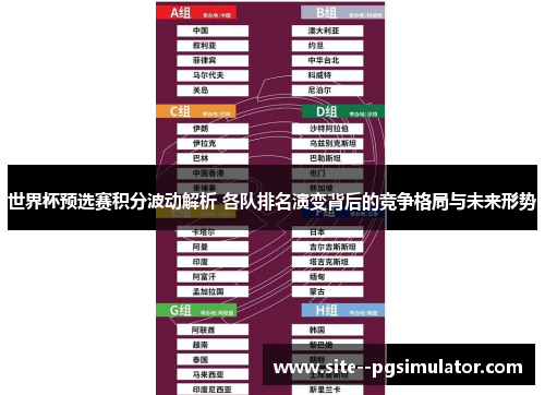 世界杯预选赛积分波动解析 各队排名演变背后的竞争格局与未来形势