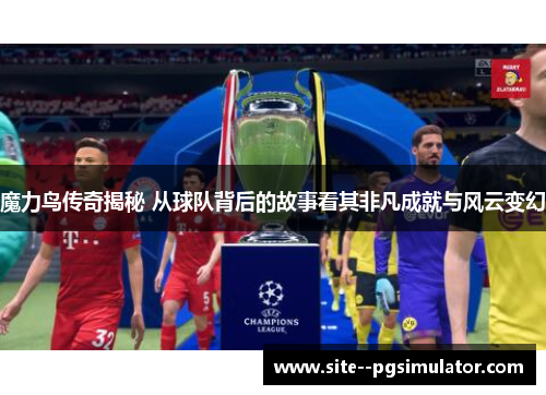 魔力鸟传奇揭秘 从球队背后的故事看其非凡成就与风云变幻 魔力鸟传奇揭秘 从球队背后的故事看其非凡成就与风云变幻