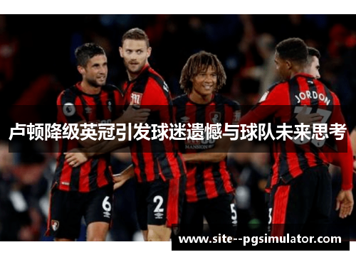 卢顿降级英冠引发球迷遗憾与球队未来思考