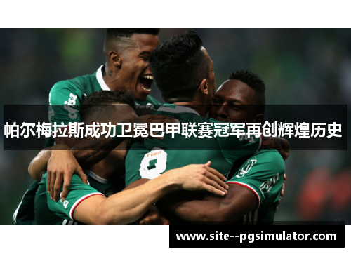 帕尔梅拉斯成功卫冕巴甲联赛冠军再创辉煌历史 帕尔梅拉斯成功卫冕巴甲联赛冠军再创辉煌历史