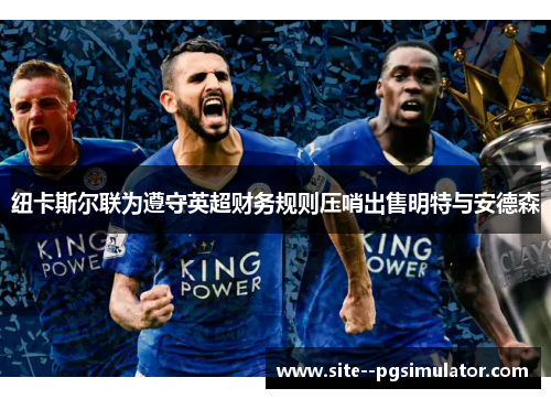 纽卡斯尔联为遵守英超财务规则压哨出售明特与安德森